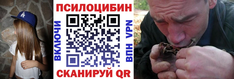 Псилоцибиновые грибы мицелий  Купить закладки  Нижний Ломов 